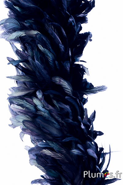 Boas en plumes